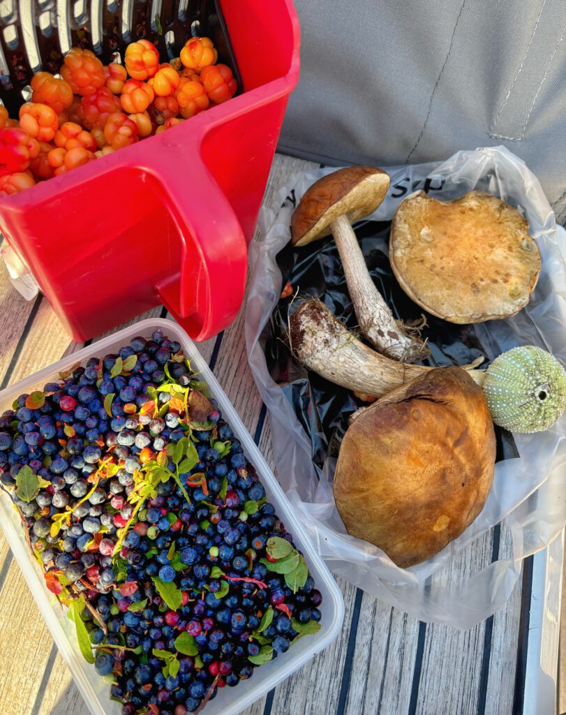 foraged mushrooms and berries