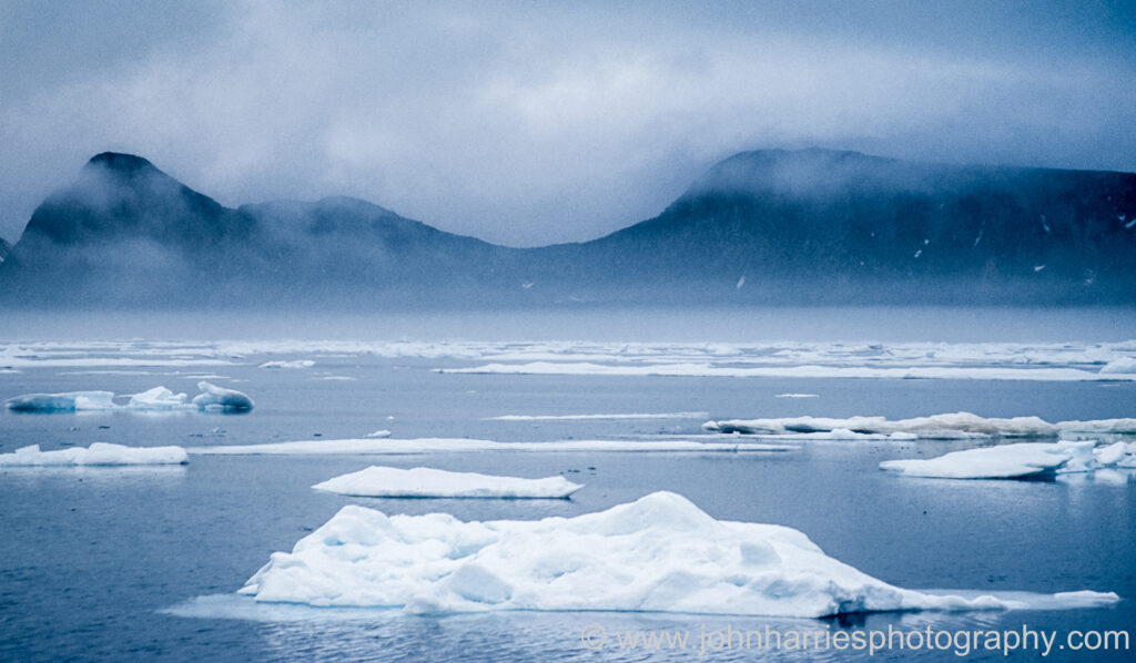 Ice bergs and growlers in a fjord in Svalbard